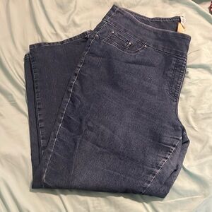 Ruby Road leggings, size 20w